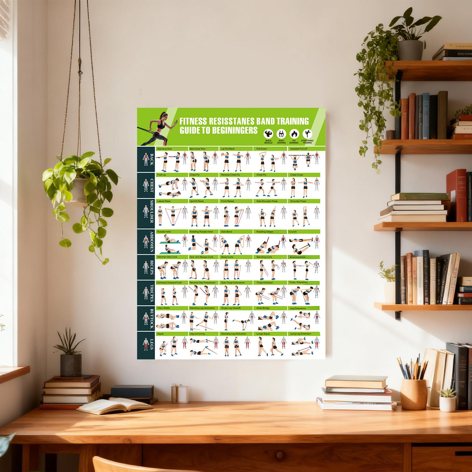 Pósteres de gimnasio con banda - Women Accessories Poster reseña y precio